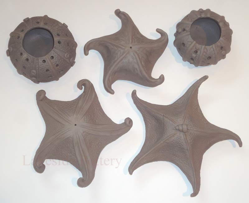 Starfish and sea urchin hand building project