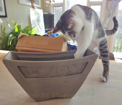 cat helping with smoothing clay