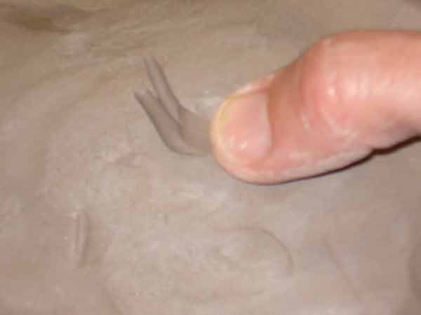 connect spines