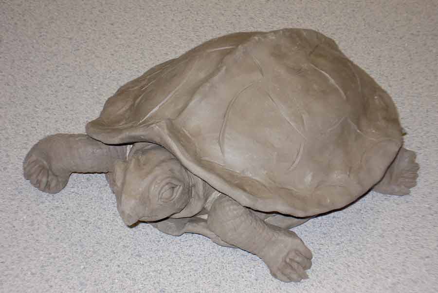 clay turtle - custom made