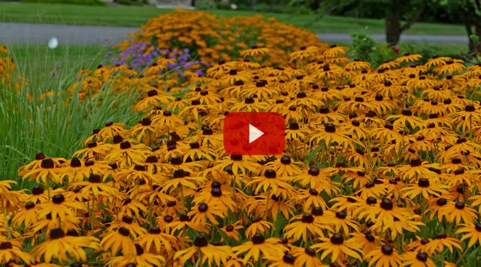 Gardens in Lewes, Delaware