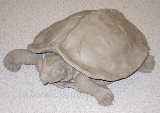 clay turtle front view
