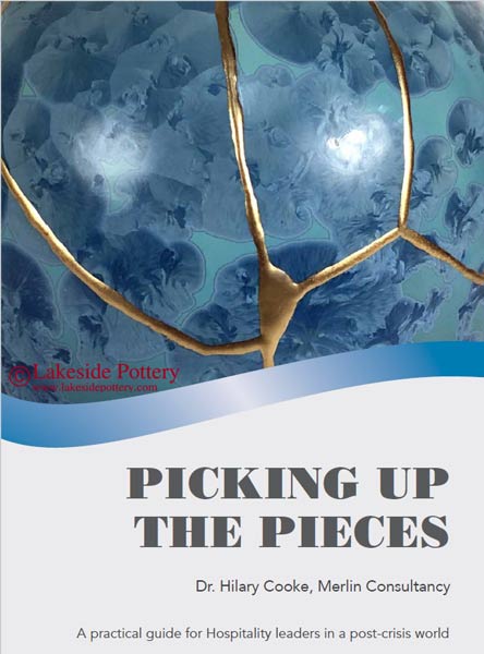 Picking Up The Pieces | Dr. Hilary Cooke - Merlin Consultancy